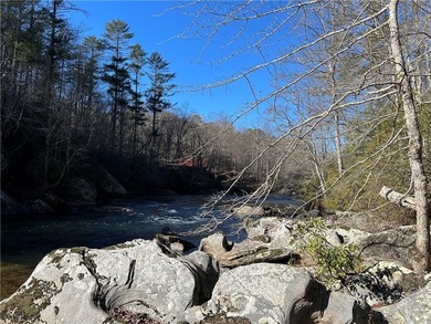 Exceptional 100+/- acre Chattahoochee River property offering - photo 11