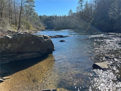 Exceptional 100+/- acre Chattahoochee River property offering - photo 13