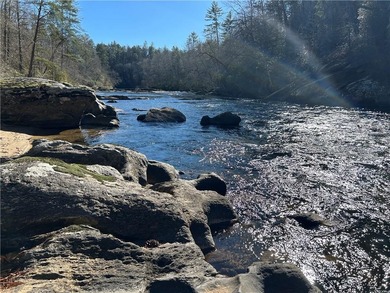 Exceptional 100+/- acre Chattahoochee River property offering - photo 15