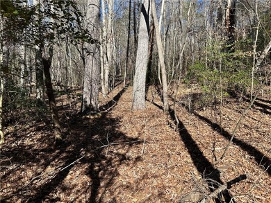 Exceptional 100+/- acre Chattahoochee River property offering - photo 16