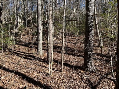 Exceptional 100+/- acre Chattahoochee River property offering - photo 17