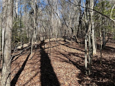 Exceptional 100+/- acre Chattahoochee River property offering - photo 18