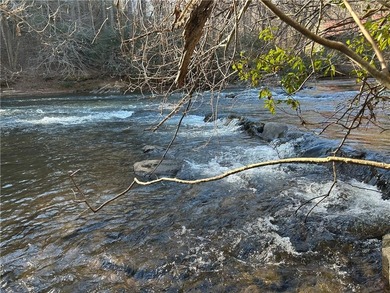 Exceptional 100+/- acre Chattahoochee River property offering - photo 19