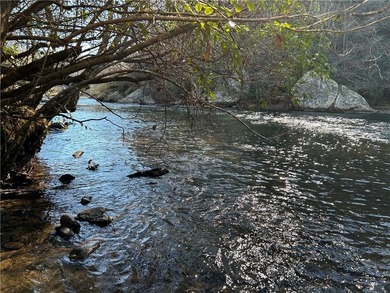 Exceptional 100+/- acre Chattahoochee River property offering - photo 20