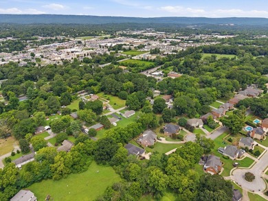 Spacious one-level living in the heart of Hixson! Welcome to - photo 48