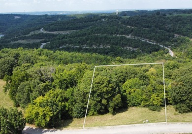 Lake Lot For Sale in Hollister, Missouri