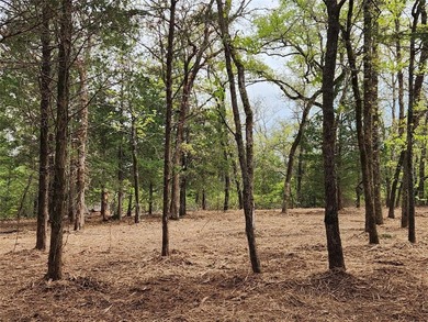 Safari Waters Ranch  Acreage For Sale in Larue Texas