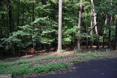 Lake Lot For Sale in Jasper, Georgia