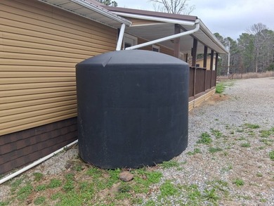This 1000 sq ft home has 2 bed 2 bath and sits on 14.5 acres - photo 6