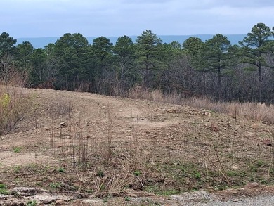 This 1000 sq ft home has 2 bed 2 bath and sits on 14.5 acres - photo 8