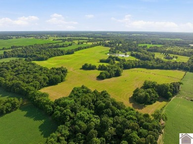 Welcome to one of the most unique properties to hit McCracken - photo 44