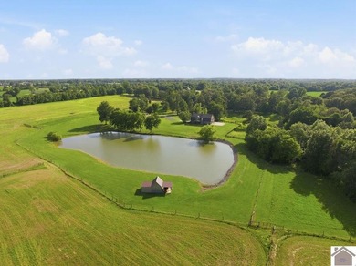 Welcome to one of the most unique properties to hit McCracken - photo 45