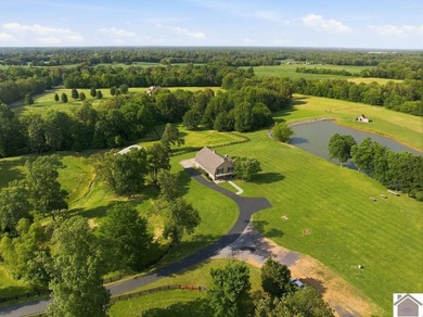 Welcome to one of the most unique properties to hit McCracken - photo 46
