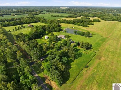 Welcome to one of the most unique properties to hit McCracken - photo 47