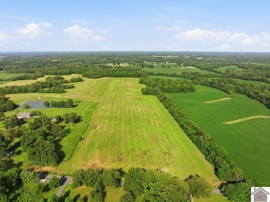Welcome to one of the most unique properties to hit McCracken - photo 48