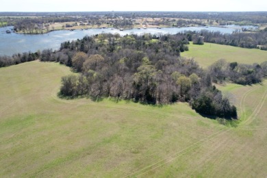 16.27 ACRES PRIME LAKE FORK ACREAGE + APPROX 23 ACRES LEASEBACK - photo 15