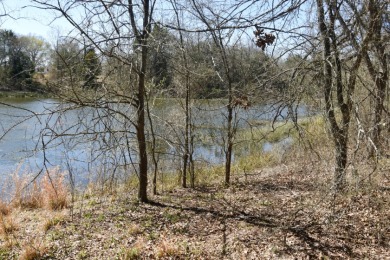 16.27 ACRES PRIME LAKE FORK ACREAGE + APPROX 23 ACRES LEASEBACK - photo 10