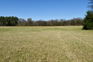 16.27 ACRES PRIME LAKE FORK ACREAGE + APPROX 23 ACRES LEASEBACK - photo 21