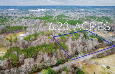 Lake Tobesofkee Acreage For Sale in Lizella Georgia