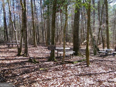 Lot 26 - Stunning huge 4.66 acre lot with huge mature hardwood - photo 12