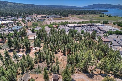 42165 Big Bear Blvd - photo 12