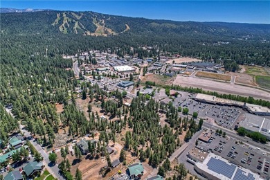 42165 Big Bear Blvd - photo 14