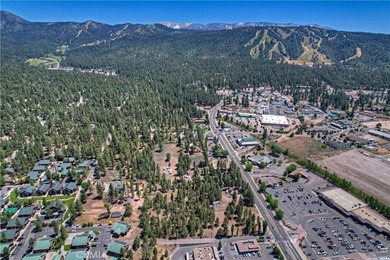 42165 Big Bear Blvd - photo 15
