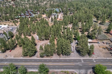 42165 Big Bear Blvd - photo 17