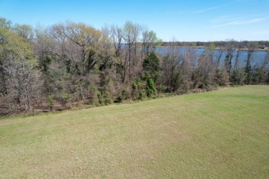 16.27 ACRES PRIME LAKE FORK ACREAGE + APPROX 23 ACRES LEASEBACK - photo 8