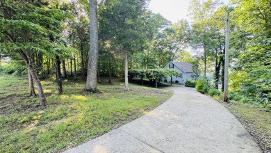The Lake Life You've Been Waiting For! Call Josh! - photo 13