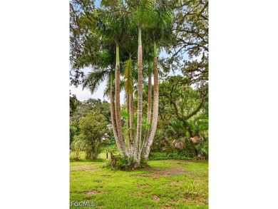 A rare opportunity to own more than 15+ acres of breathtaking - photo 28