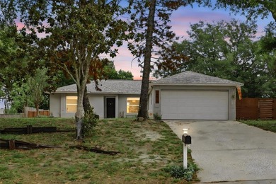 Nestled in the heart of booming Clermont on an expansive - photo 38