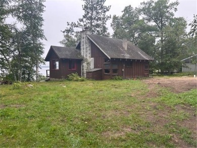 Lake Home Sale Pending in Trelipe Twp, Minnesota