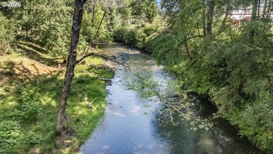 Tucked along the banks of the Mohawk River, this charming - photo 46