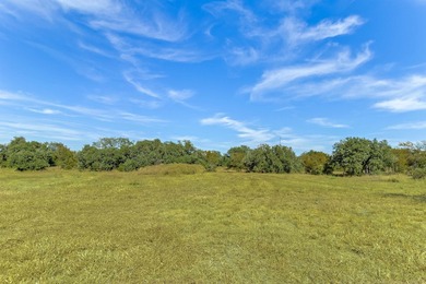 Lake Acreage For Sale in Buchanan Dam, Texas