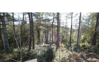 Nottely River Lot For Sale in Blairsville Georgia