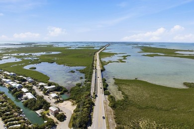 30 acres, two private islands on the gulf side of Saddlebunch - photo 11