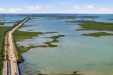 30 acres, two private islands on the gulf side of Saddlebunch - photo 12