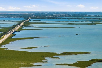 30 acres, two private islands on the gulf side of Saddlebunch - photo 14