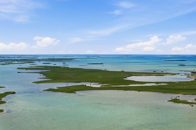 30 acres, two private islands on the gulf side of Saddlebunch - photo 17