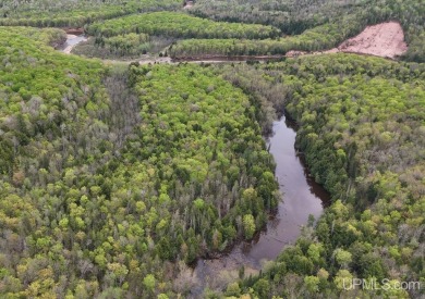 (private lake, pond, creek) Acreage For Sale in Rockland Michigan