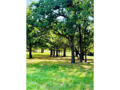 Lake Whitney Lot For Sale in Whitney Texas