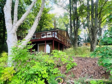 Lake Home Sale Pending in Thurston, New York