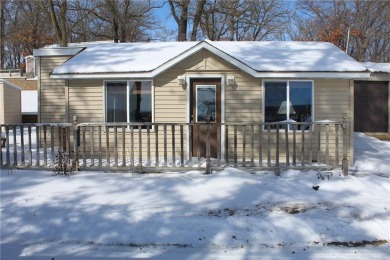 Lake Home For Sale in Burnhamville Twp, Minnesota