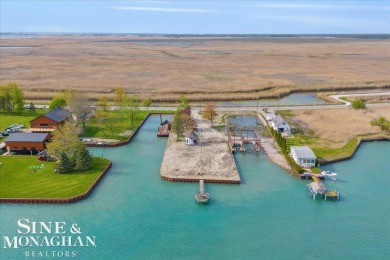 Lake Lot For Sale in Harsens Island, Michigan