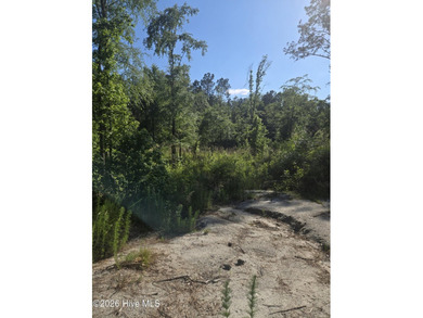 Land for Sale - Serenity Pointe Subdivision Beautiful 6.67 - photo 3