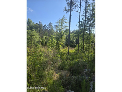 Land for Sale - Serenity Pointe Subdivision Beautiful 6.67 - photo 4