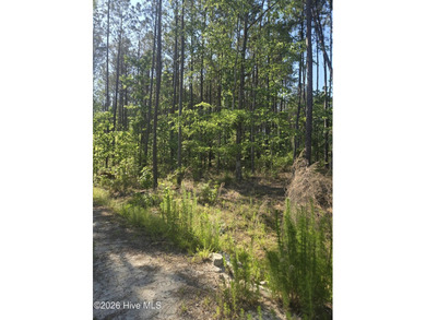 Land for Sale - Serenity Pointe Subdivision Beautiful 6.67 - photo 5
