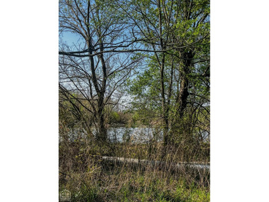 1,962 Acres on the Black River | A Once-in-a-Generation Arkansas - photo 12