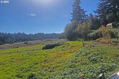 Large vacant lot located in the Englewood area of Coos Bay. This - photo 2